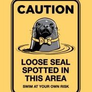 LooseSeal