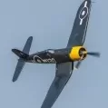 Tiny Flying Legends