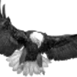 Egilman