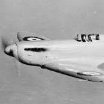 GriffonV12