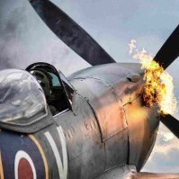 spitfire323