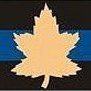 cdntank51