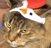 flibble