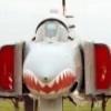 172 f 4e phantom ii phantom61
