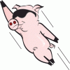 flyingpiggy